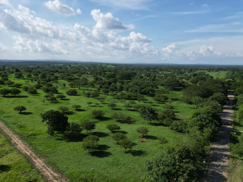 Guanahani - 1