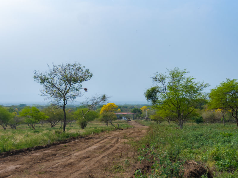 GUANAHANI_GALERIA-6